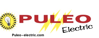 Puleo Electric